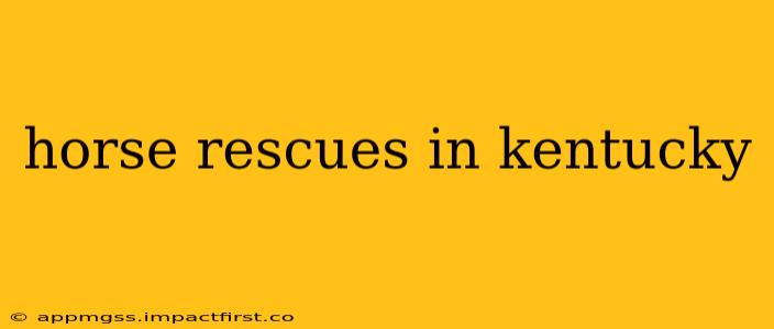 horse rescues in kentucky