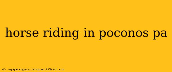 horse riding in poconos pa