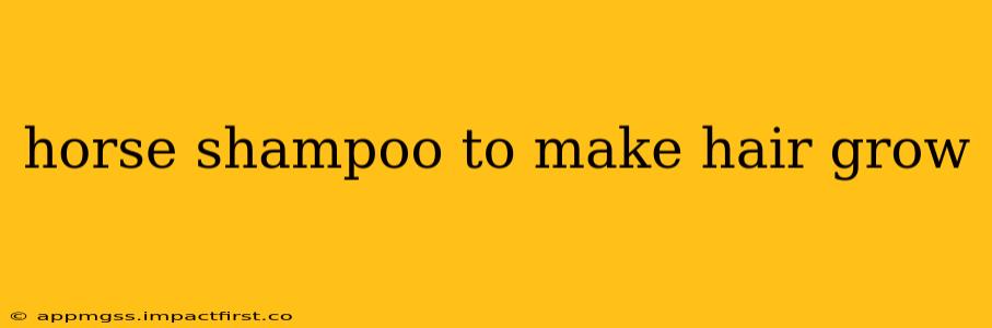 horse shampoo to make hair grow