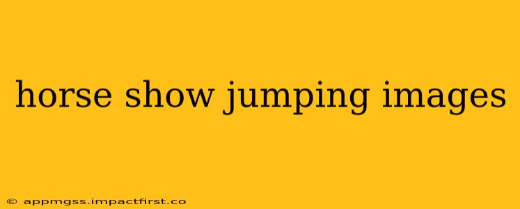 horse show jumping images