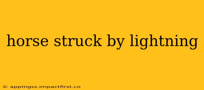 horse struck by lightning