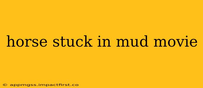 horse stuck in mud movie