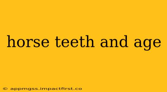 horse teeth and age