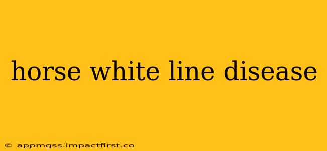 horse white line disease