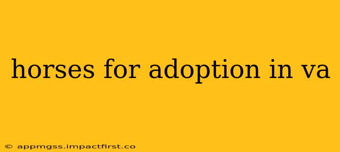 horses for adoption in va