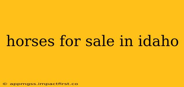 horses for sale in idaho
