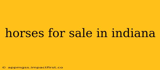 horses for sale in indiana