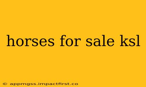 horses for sale ksl