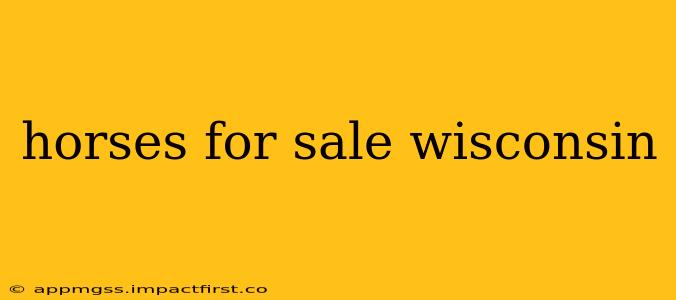 horses for sale wisconsin