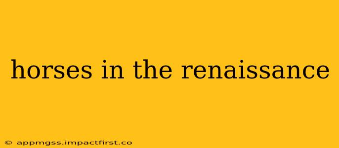 horses in the renaissance