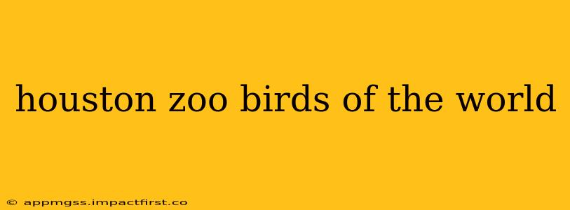 houston zoo birds of the world