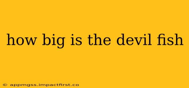 how big is the devil fish