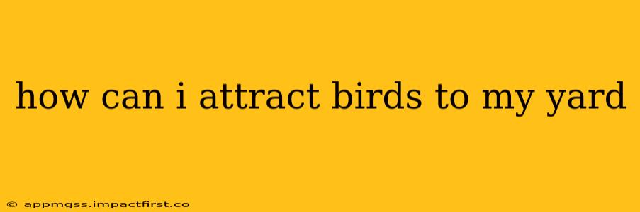 how can i attract birds to my yard