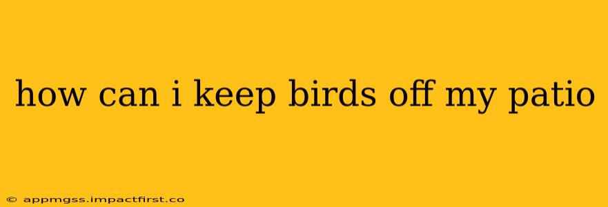 how can i keep birds off my patio