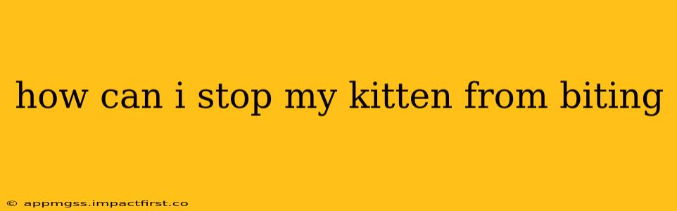 how can i stop my kitten from biting