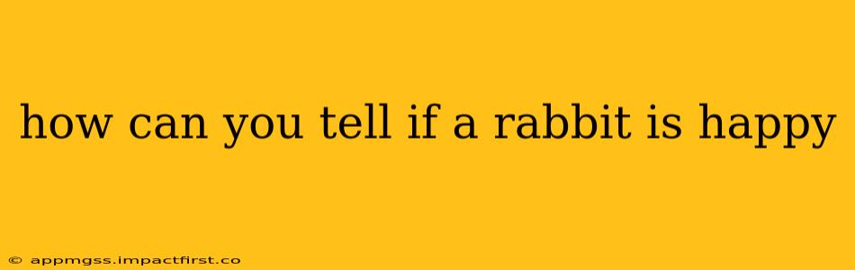 how can you tell if a rabbit is happy