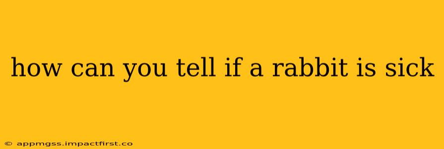 how can you tell if a rabbit is sick