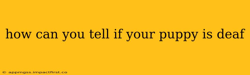 how can you tell if your puppy is deaf