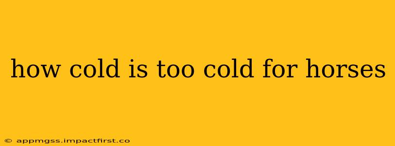 how cold is too cold for horses