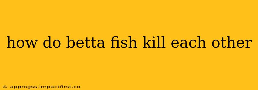 how do betta fish kill each other