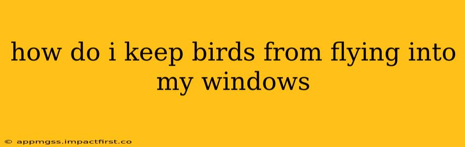 how do i keep birds from flying into my windows