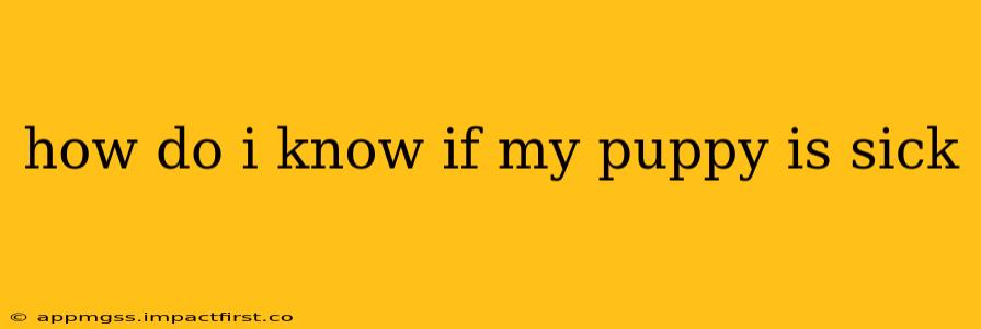 how do i know if my puppy is sick