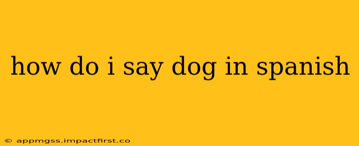 how do i say dog in spanish