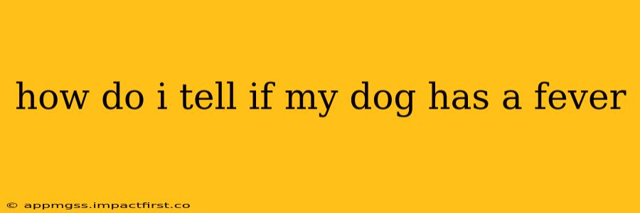 how do i tell if my dog has a fever