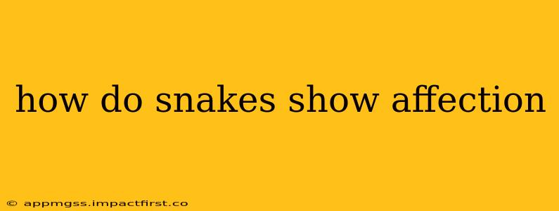 how do snakes show affection