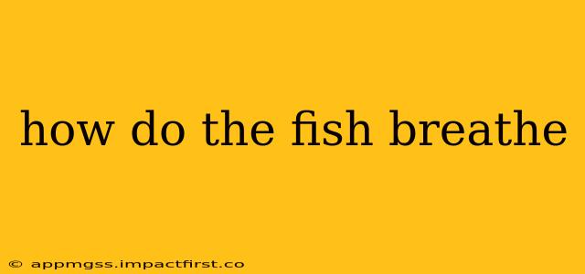 how do the fish breathe