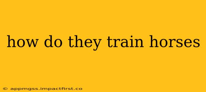 how do they train horses