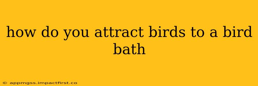 how do you attract birds to a bird bath