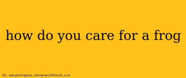 how do you care for a frog