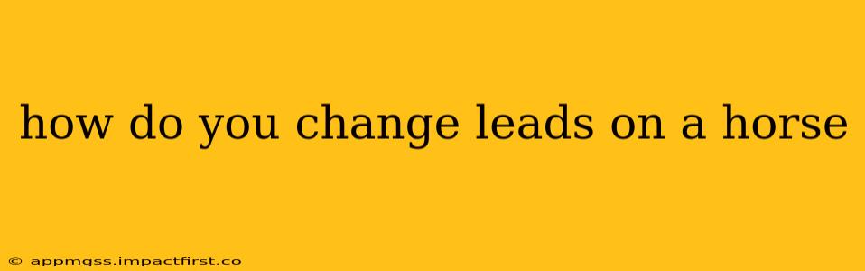 how do you change leads on a horse