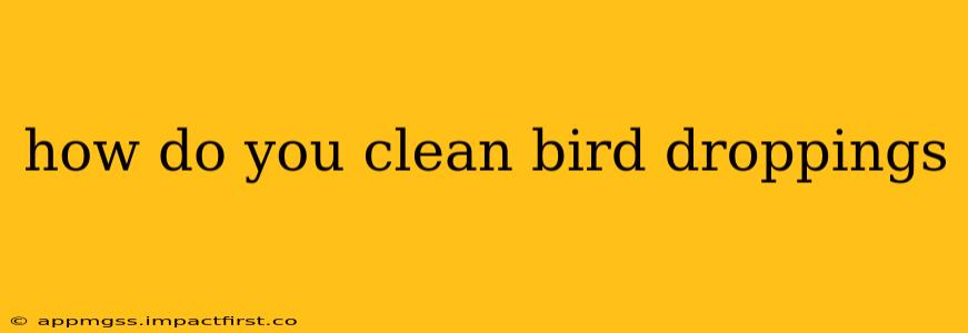 how do you clean bird droppings