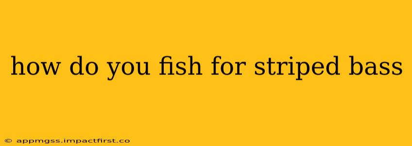 how do you fish for striped bass
