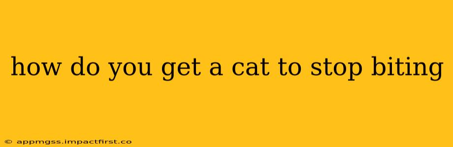 how do you get a cat to stop biting