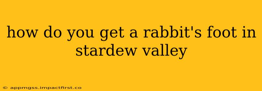 how do you get a rabbit's foot in stardew valley