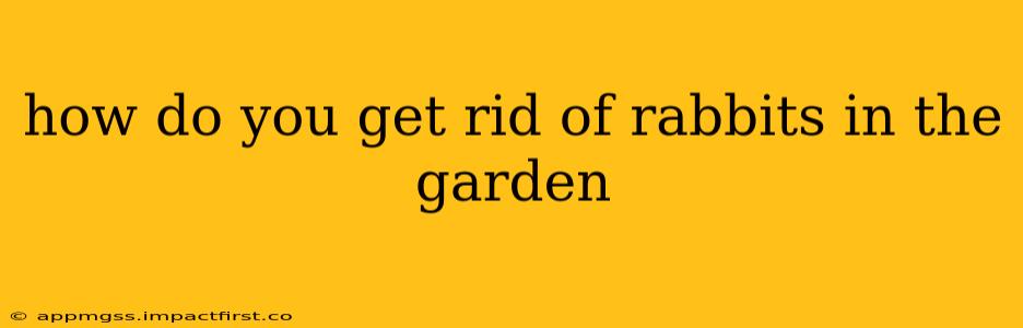 how do you get rid of rabbits in the garden