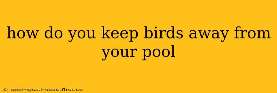 how do you keep birds away from your pool