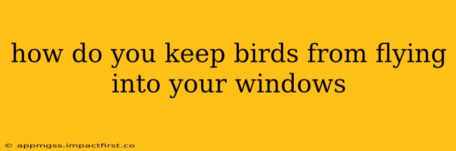 how do you keep birds from flying into your windows