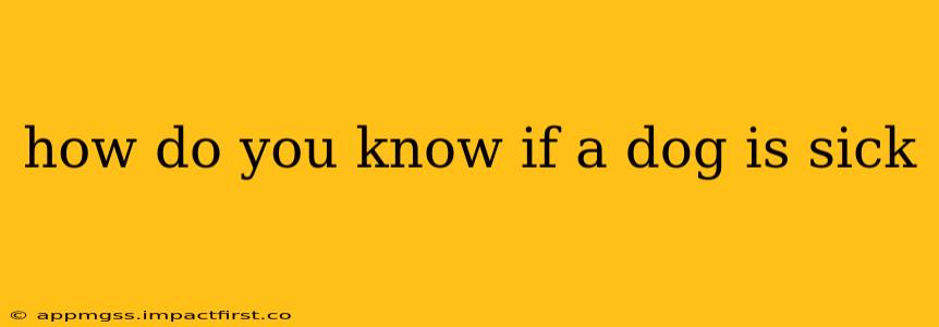 how do you know if a dog is sick