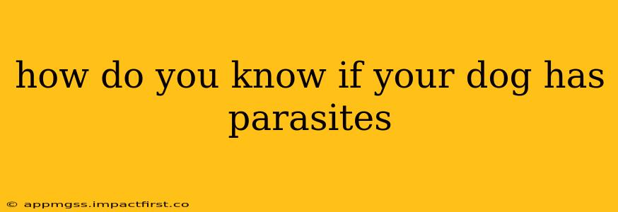 how do you know if your dog has parasites