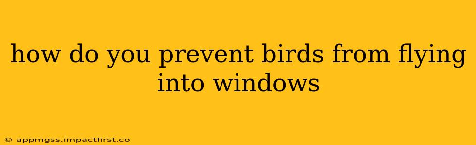 how do you prevent birds from flying into windows