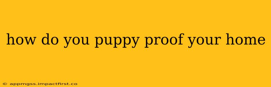how do you puppy proof your home