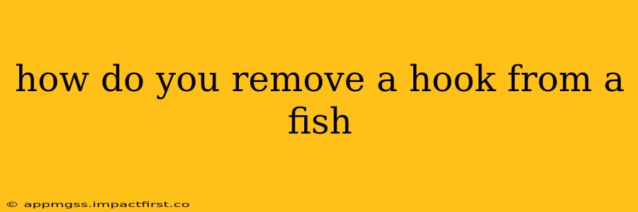 how do you remove a hook from a fish