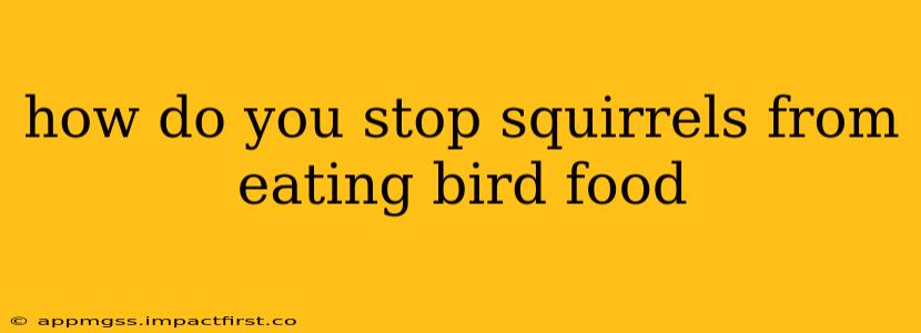 how do you stop squirrels from eating bird food