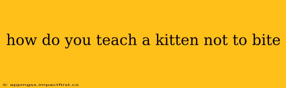 how do you teach a kitten not to bite