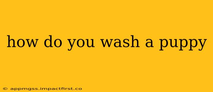 how do you wash a puppy