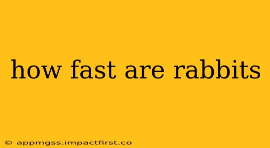 how fast are rabbits